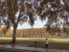 -河南省黄河迎宾馆