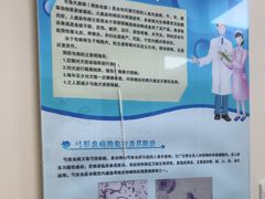 -全心全意连锁动物医院·微创中心·内科急重症·心脏专科(丰管路店)