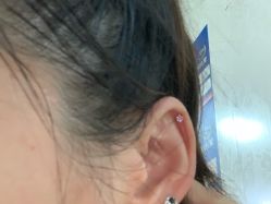 -花师傅