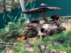 -大连森林动物园