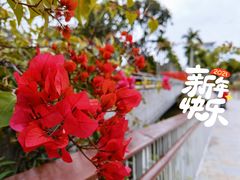 -香蜜公园