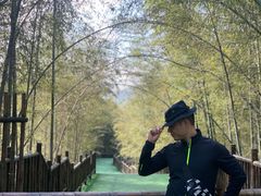 -陶祖圣境风景区