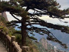 -黄山玉屏楼宾馆餐厅