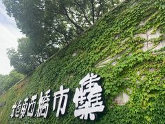 -苏州本色美术馆