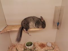 -龙猫仔乐园(惠福东路店)