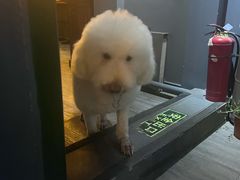 -后院儿·精酿·塔罗Happy Bar