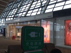 -上海浦东国际机场-T2航站楼