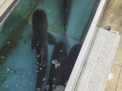 -连池鱼豆味坊(风景区店)