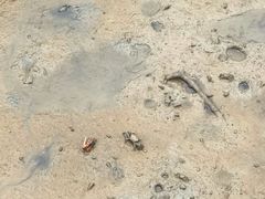 -北海金海湾红树林生态旅游区