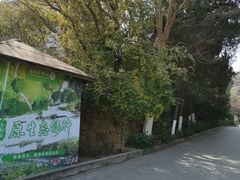 -白马涧龙池景区