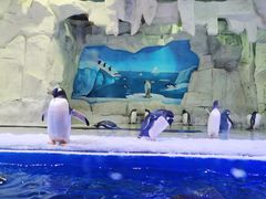 -华夏文旅海洋公园