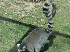 -哈尔滨北方森林动物园