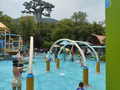 -苏州乐园森林水世界