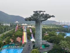 -苏州乐园森林水世界