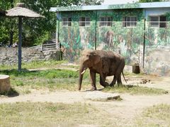 -西安秦岭野生动物园