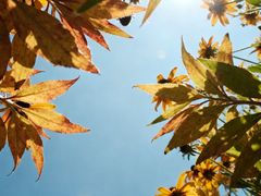 -西安市长乐公园