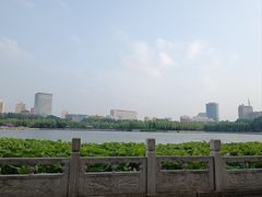 -莲花池公园