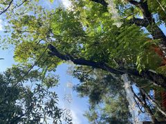 -唐咖精品咖啡(大理古城手冲店)