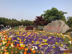 -Ginza Onodera铁板烧(外滩十八号店)