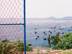-枸杞岛