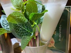 -探窝·竹笙椰子鸡(杨箕店)