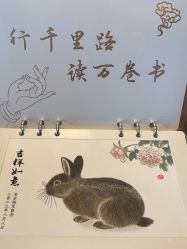 -天禧专业理胎发纪念品乐园·婴儿宝宝理发剃胎毛胎头胎毛笔定制店