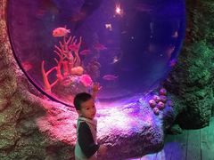 -沈阳海洋探索中心