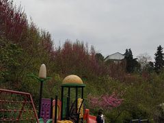 -桃源山庄·摘樱桃·柴火鸡·烧烤团建(龙泉山店)