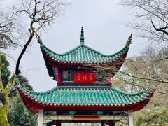 -岳麓山风景名胜区