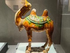 -景德镇中国陶瓷博物馆