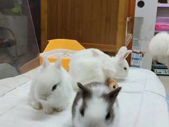 -三旗百汇商品城