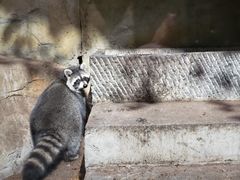 -MR.ZOO小小动物元室内动物园(沈阳沈河盛京中心)