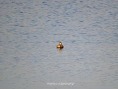 -仙海旅游度假区