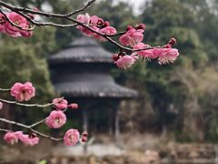 -天目湖山水园