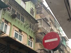 -洪馨椰子