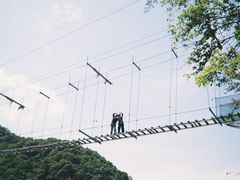 -千岛湖石林