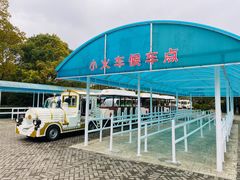 -上海海湾国家森林公园