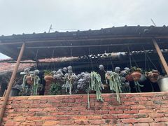 -曼丢傣家古寨
