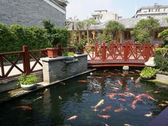 -顺德了能馆(虎门店)