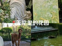 -南宁荔园维景国际酒店·荔园中餐厅
