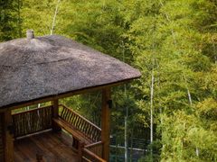 -天目湖御水温泉·度假酒店