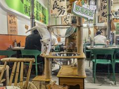 -山野的朋友露营炭火烤肉