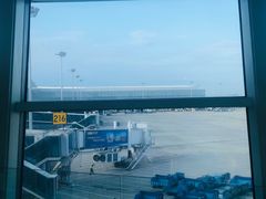 -温州龙湾国际机场