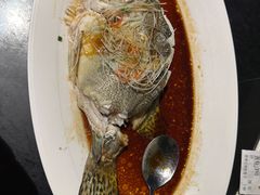 -燕郊烧鸽子(酷车小镇店)