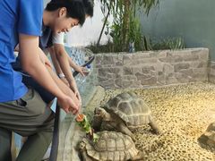 -上海大自然野生昆虫馆(东方明珠·爬宠昆虫探索中心)