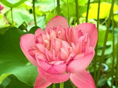 -龙环葡韵住宅式博物馆