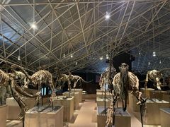 -世界恐龙谷景区