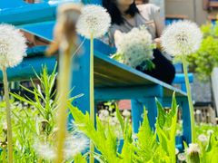 -长白山万达喜来登度假酒店