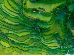 -篁嶺土菜馆·柴火饭 土鸡土菜