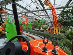 -南宫五洲植物乐园